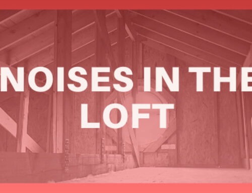Pest Advice: Noises in the loft