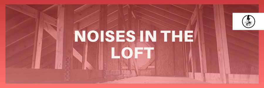 Noises in the loft
