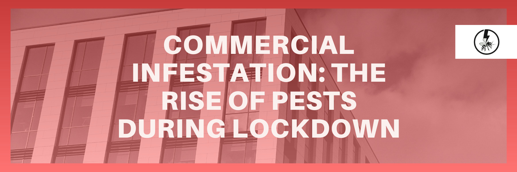 Commercial Infestation: The Rise of Pests During Lockdown